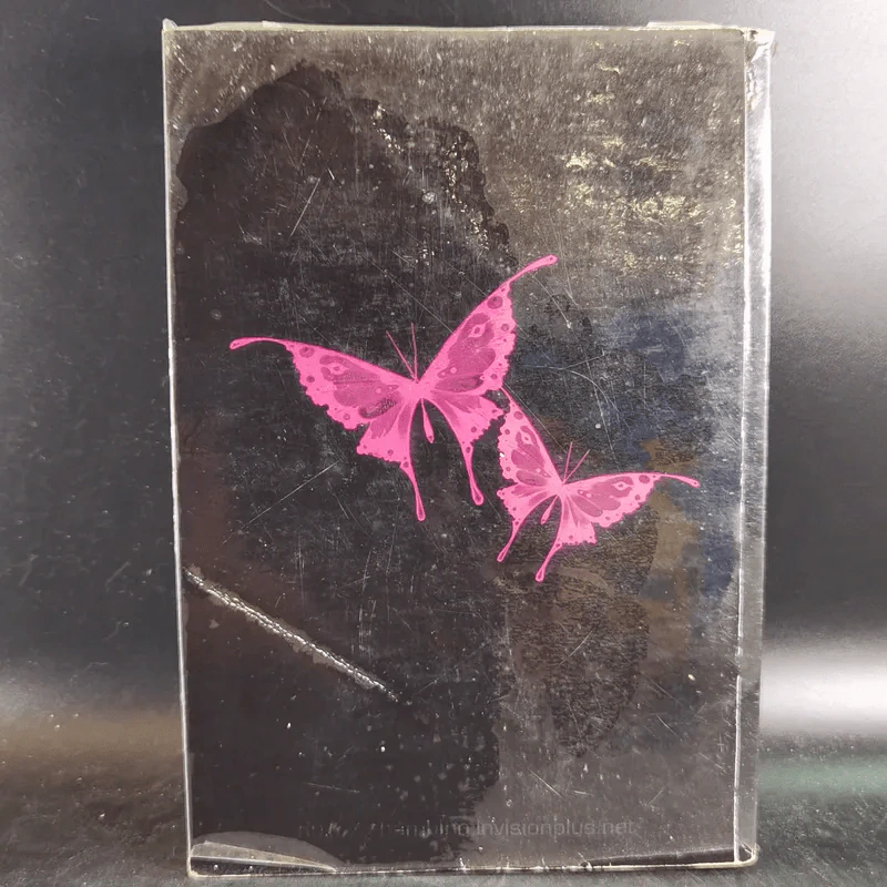 Bonnie Butterfly - Bambino รูปที่ 2