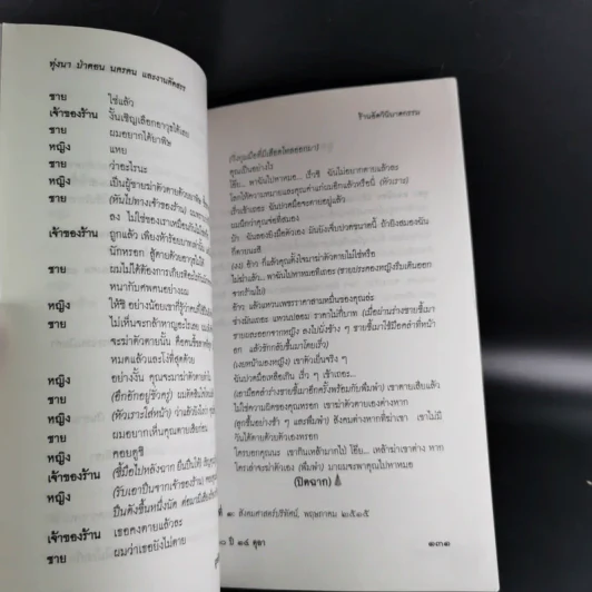 อุดร ทองน้อย ทุ่งนา ป่าดอน นครคน รูปที่ 13