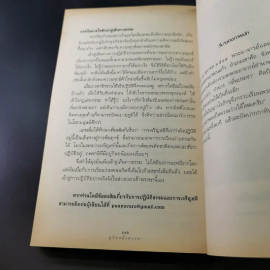 ดูจิตหนึ่งพรรษา - ประเสริฐ อุทัยเฉลิม รูปที่ 13