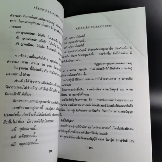หลักสมาธิภาวนา แบบชาวพุทธ - ธัมมานุสารี รูปที่ 11