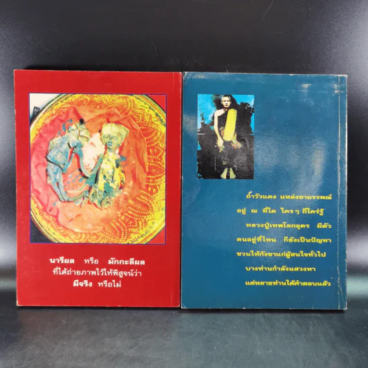 โลกทิพย์ หลวงปู่เทพโลกอุดร เล่ม 1-2 รูปที่ 2