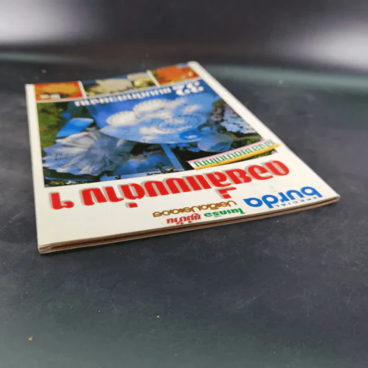 ดอยลี่แบบต่างๆ ผังลายขนาดใหญ่ หนังสือประดิดประดอย รูปที่ 11