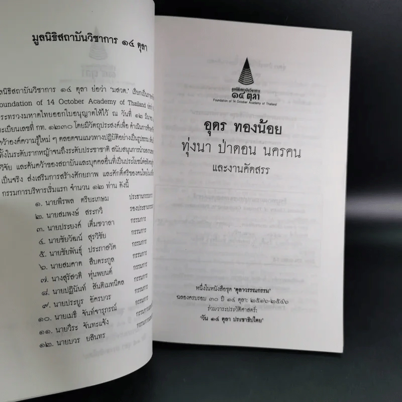 อุดร ทองน้อย ทุ่งนา ป่าดอน นครคน รูปที่ 8