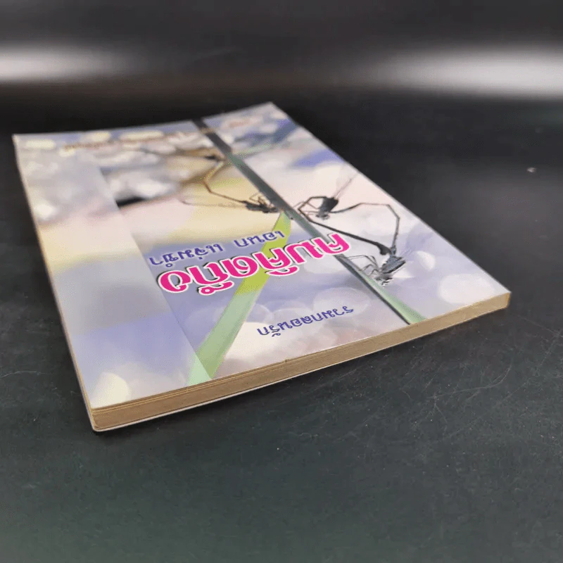รวมกลอนรัก คมคิดถึง - เอนก แจ่มขำ รูปที่ 7