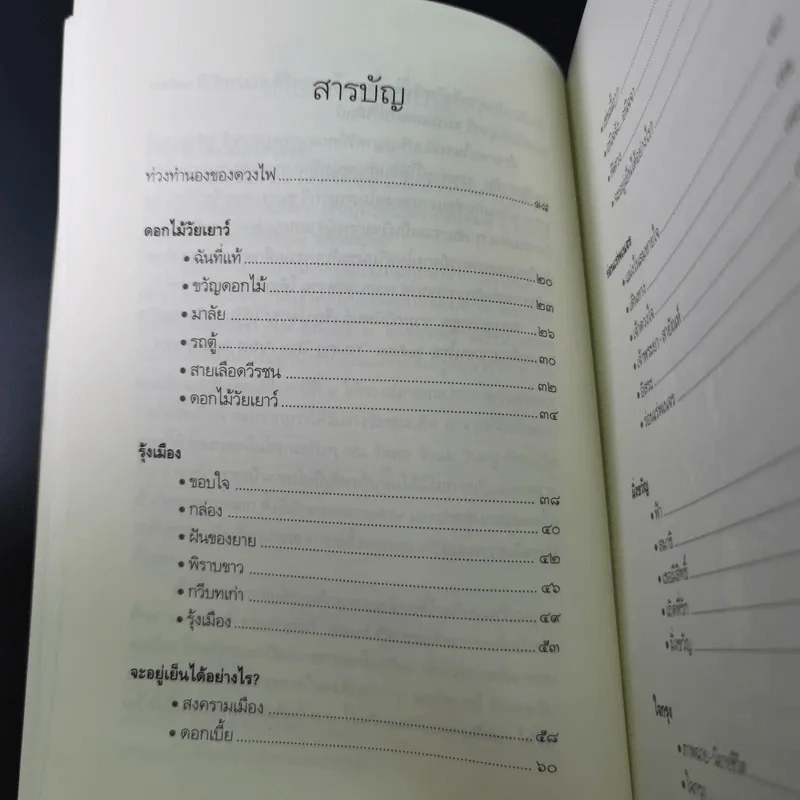ใจกรุง - ปณิธาน รอดเหตุภัย รูปที่ 15