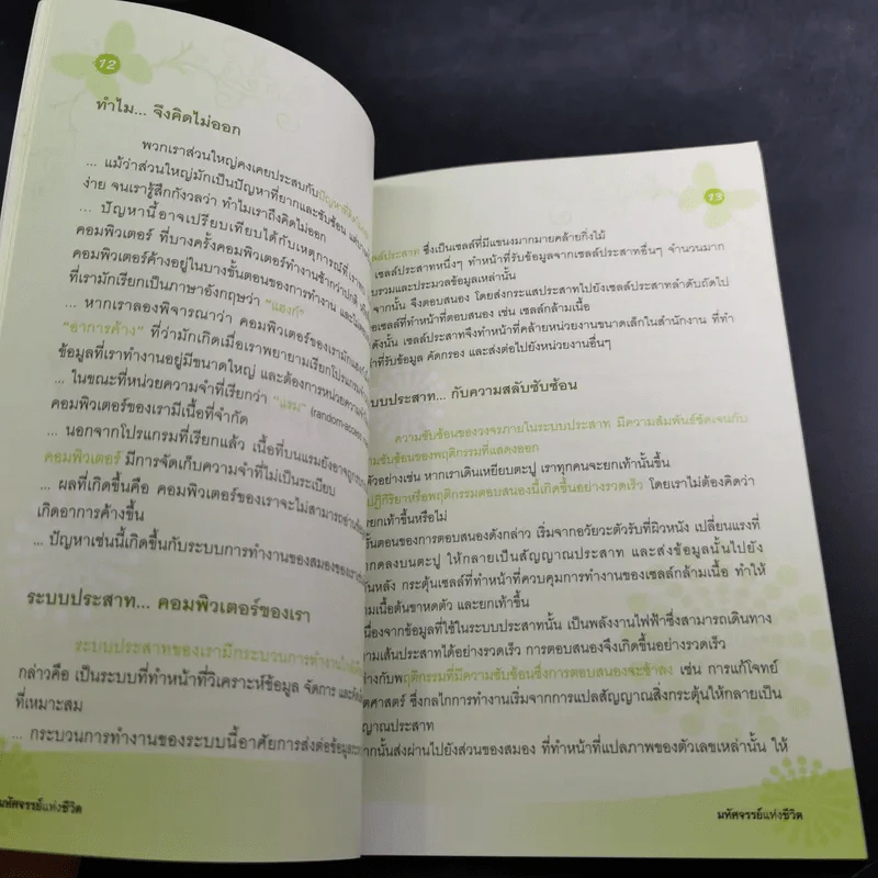 มหัศจรรย์แห่งชีวิต รูปที่ 11