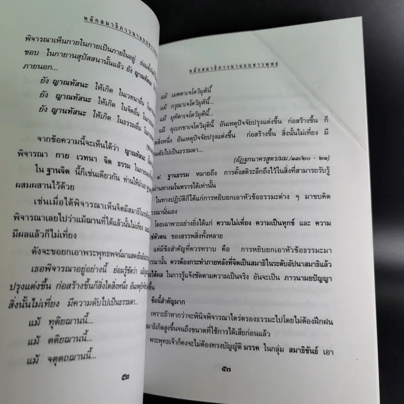 หลักสมาธิภาวนา แบบชาวพุทธ - ธัมมานุสารี รูปที่ 11