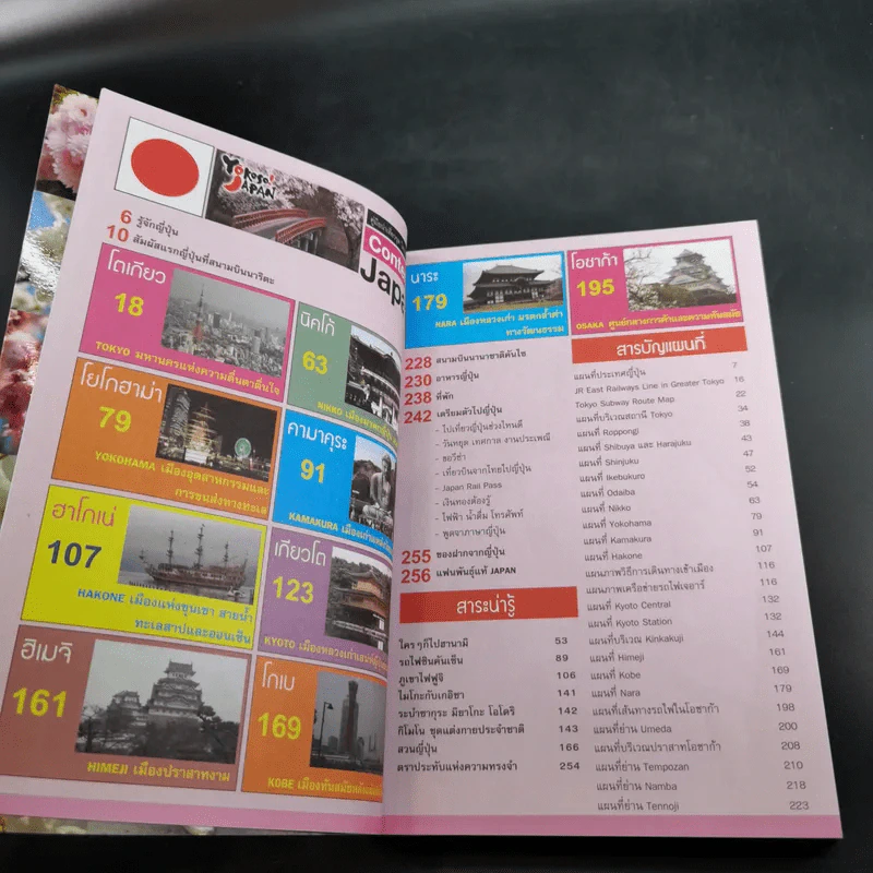 ใครๆก็ไปเที่ยว ญี่ปุ่น - อดิศักดิ์ จันทร์ดวง รูปที่ 10