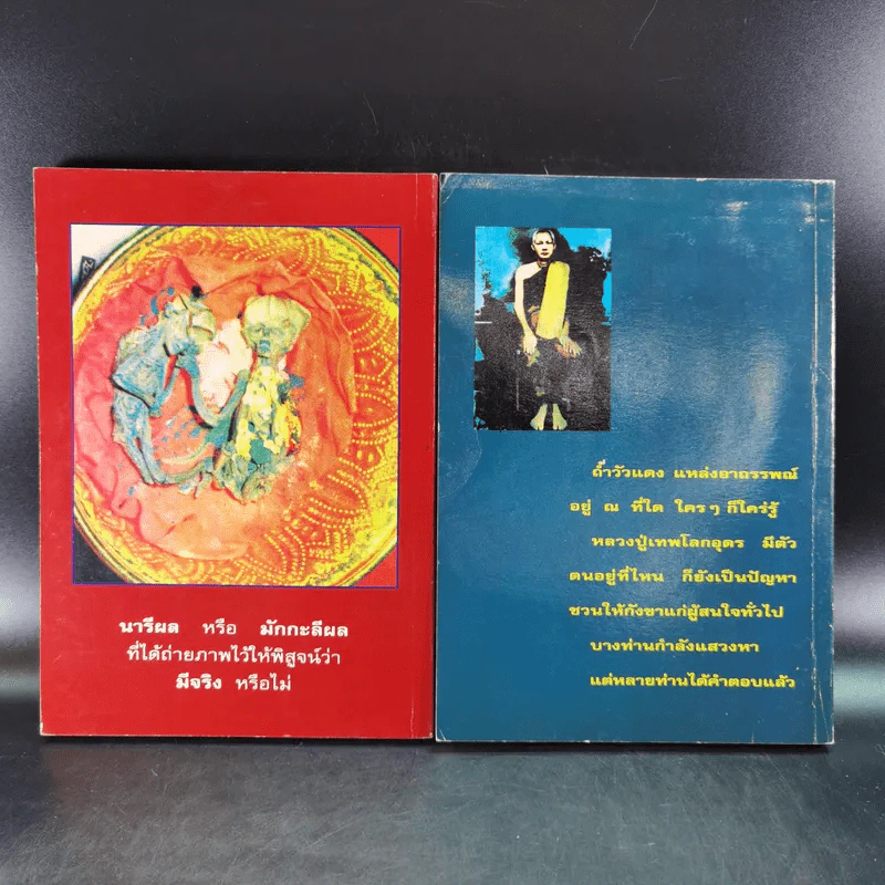 โลกทิพย์ หลวงปู่เทพโลกอุดร เล่ม 1-2 รูปที่ 2