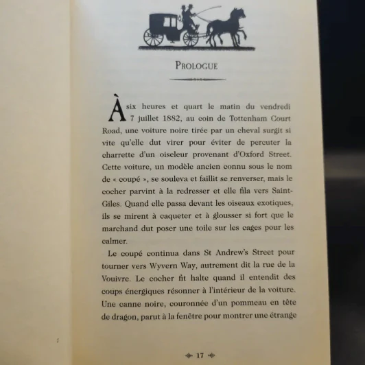 Dragonologie, les chroniques, Tome 1 : A la recherche de l'oeil du dragon รูปที่ 13