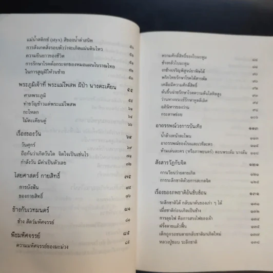 รหัสวิทยาพลังเร้นลับ - พลูหลวง รูปที่ 12