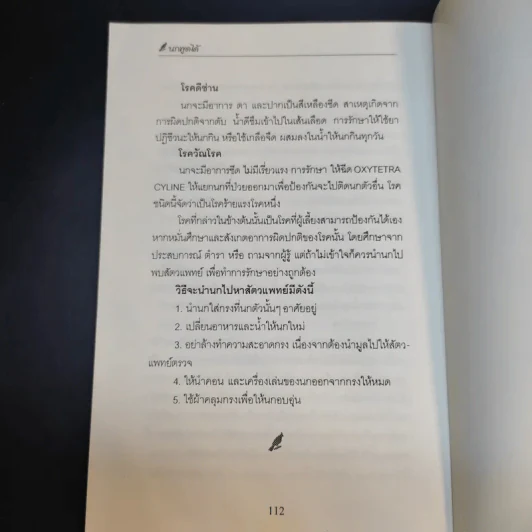 นกพูดได้ - พฤกทล รูปที่ 14