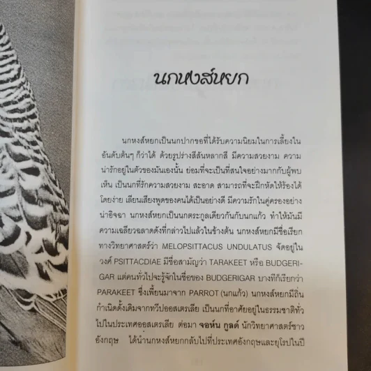 นกพูดได้ - พฤกทล รูปที่ 12