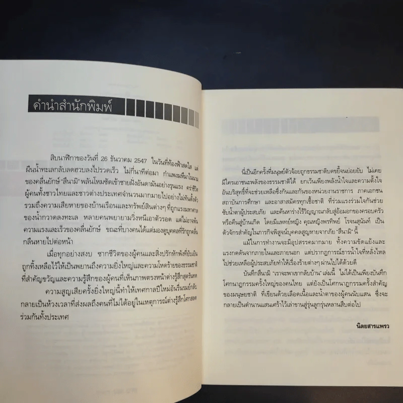 บันทึกสึนามิ - แพทย์หญิง คุณหญิงพรทิพย์ โรจนสุนันท์ รูปที่ 10