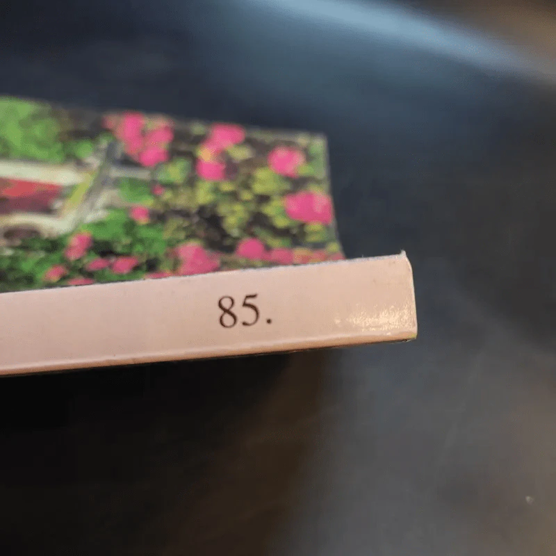 80 วันในยุโรป - อุทัย ภัทรสุข รูปที่ 13
