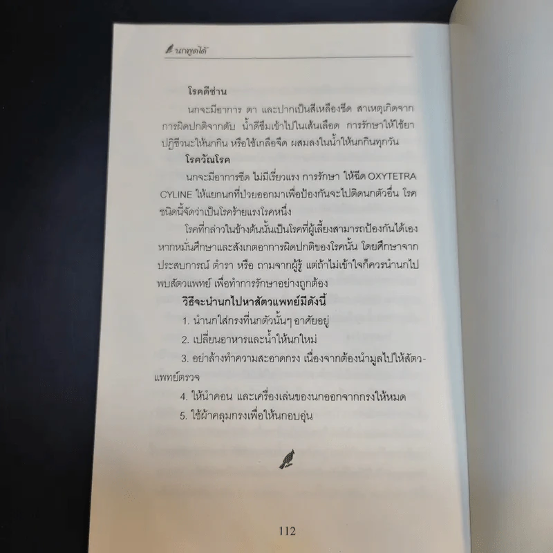 นกพูดได้ - พฤกทล รูปที่ 14