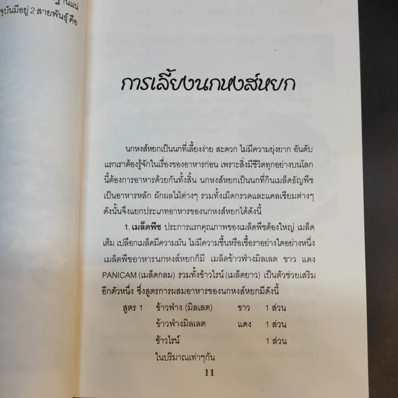 นกพูดได้ - พฤกทล รูปที่ 13