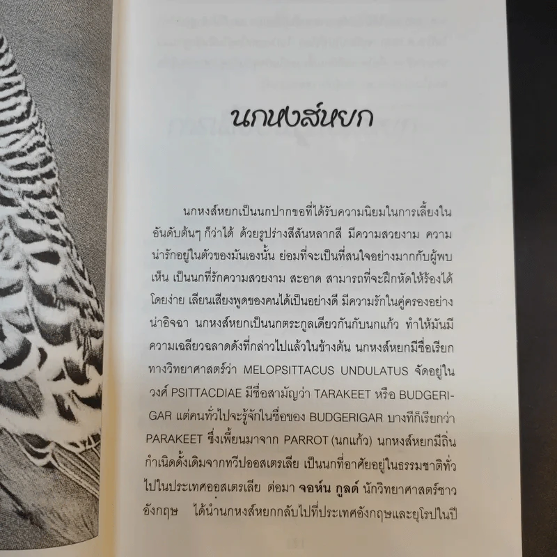 นกพูดได้ - พฤกทล รูปที่ 12