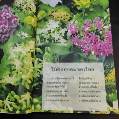 สารานุกรมไทยสำหรับเยาวชน เล่ม 1 รูปที่ 10