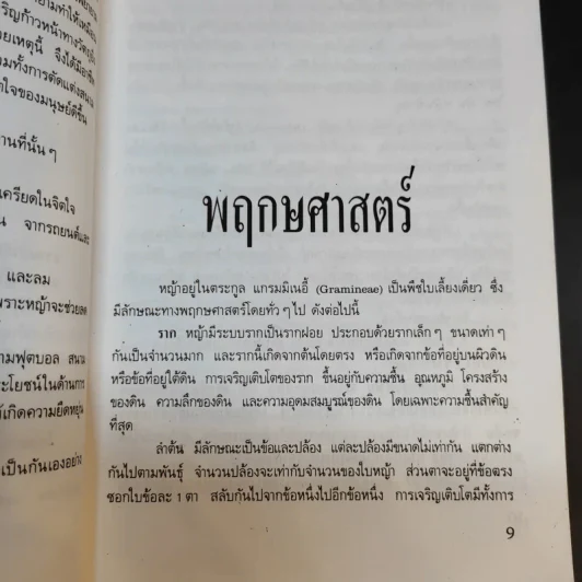 สนามหญ้า - เอกชัย พฤกษ์อำไพ, สำเริง คำทอง รูปที่ 12