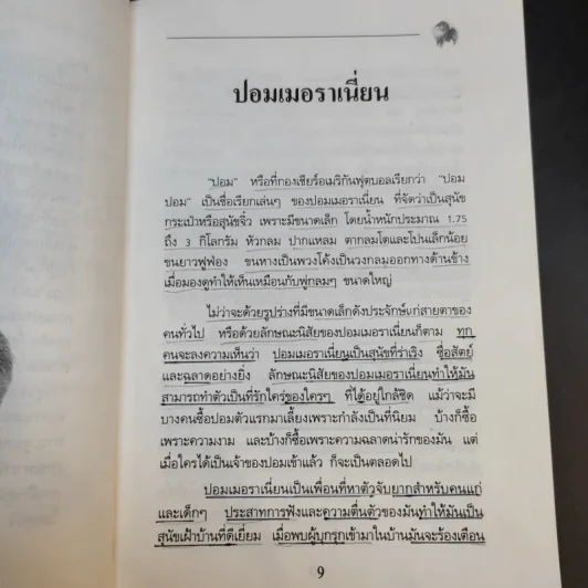 การเลี้ยงสุนัข ปอมเมอราเนี่ยน - บัณฑิตย์ สุริยพันธ์ รูปที่ 12