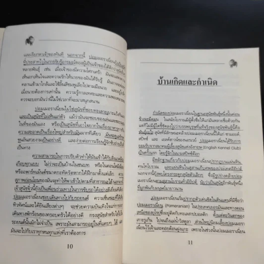 การเลี้ยงสุนัข ปอมเมอราเนี่ยน - บัณฑิตย์ สุริยพันธ์ รูปที่ 13
