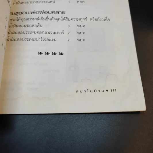 สปาในบ้าน - ปาจรีย์ นุพงษ์ รูปที่ 14