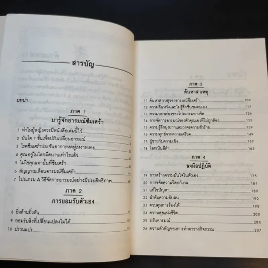 ทำตัวอย่างไร เมื่อหัวใจซึมเศร้า - ดร.เอเลียต บี. รูปที่ 9