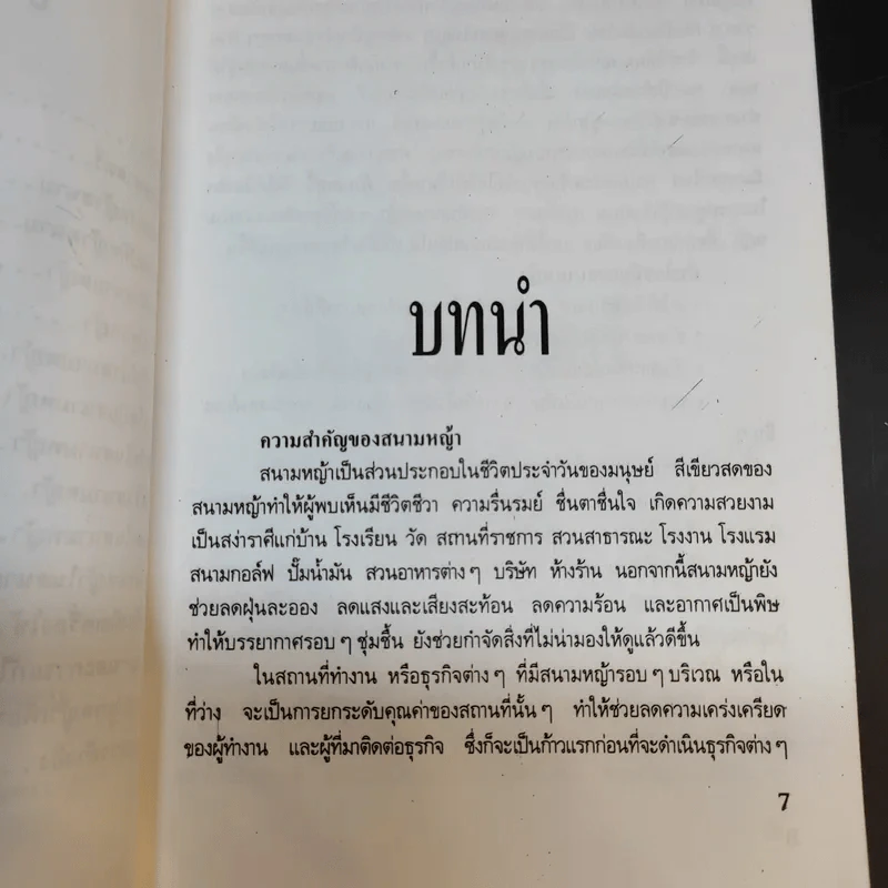 สนามหญ้า - เอกชัย พฤกษ์อำไพ, สำเริง คำทอง รูปที่ 11
