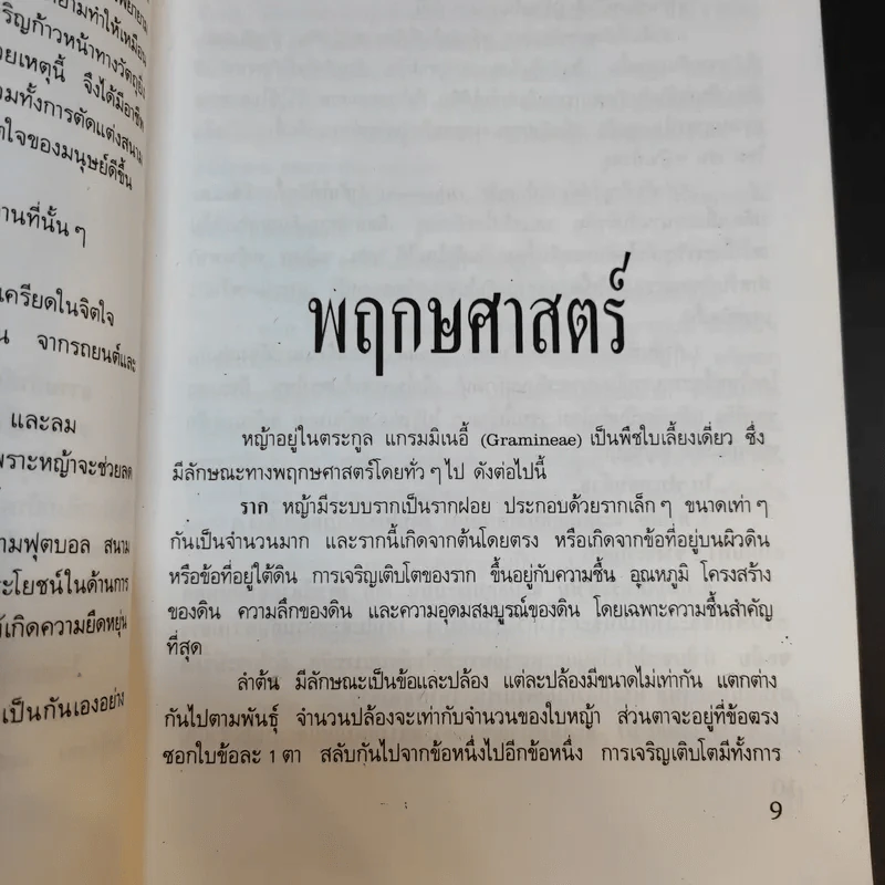 สนามหญ้า - เอกชัย พฤกษ์อำไพ, สำเริง คำทอง รูปที่ 12