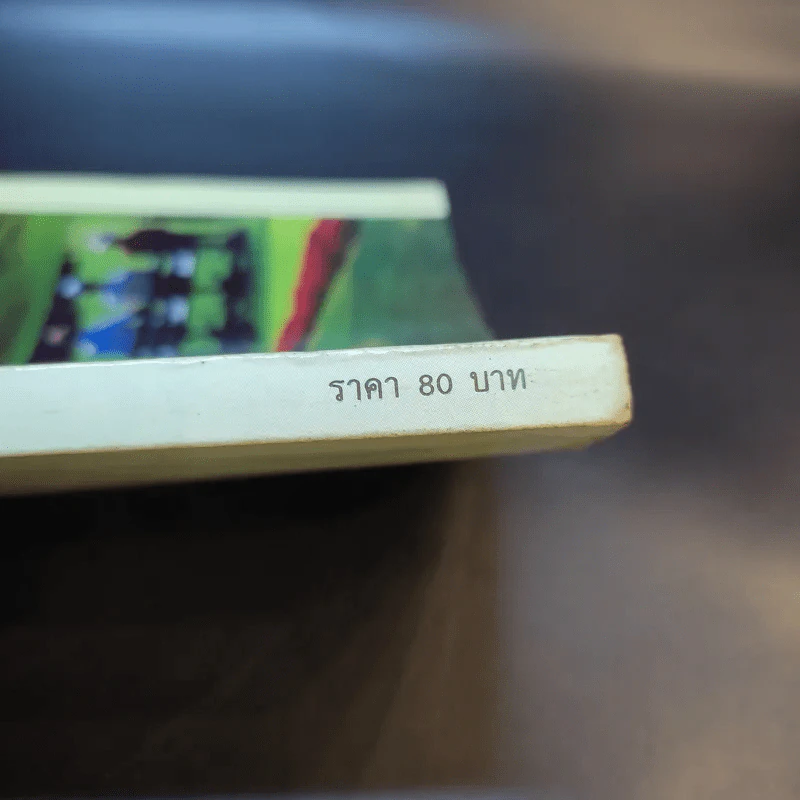 สนามหญ้า - เอกชัย พฤกษ์อำไพ, สำเริง คำทอง รูปที่ 14
