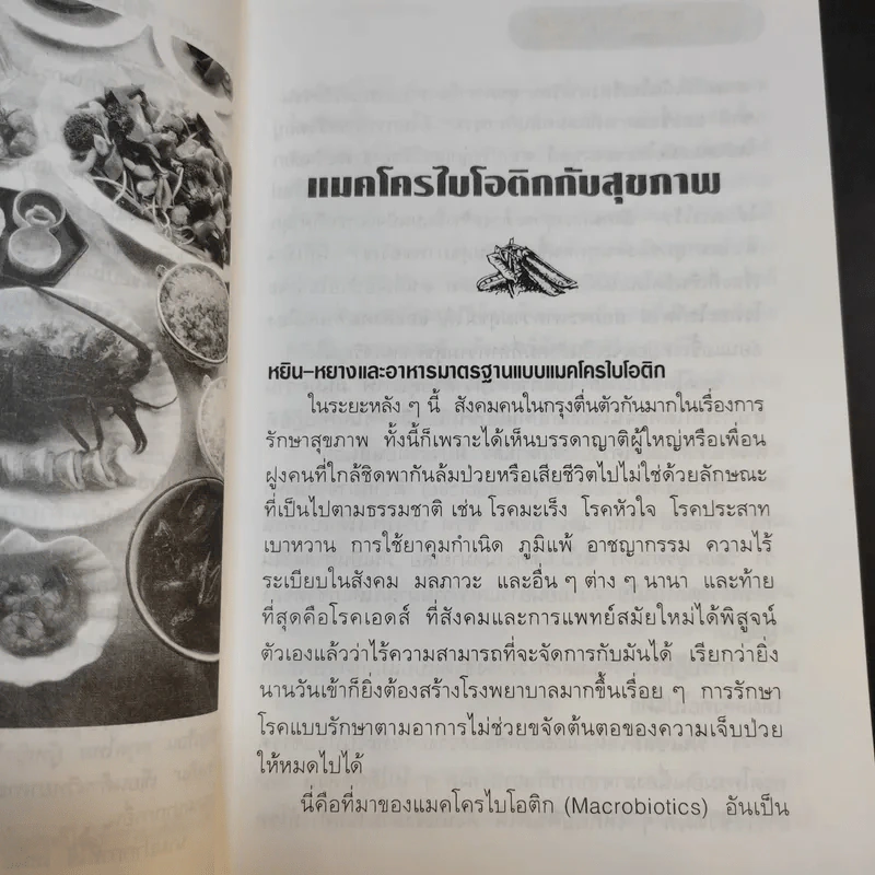 แมคโครไบโอติกสู่เสรีภาพและความงาม จากมุมมองอุดร ฐาปโนสถ รูปที่ 12