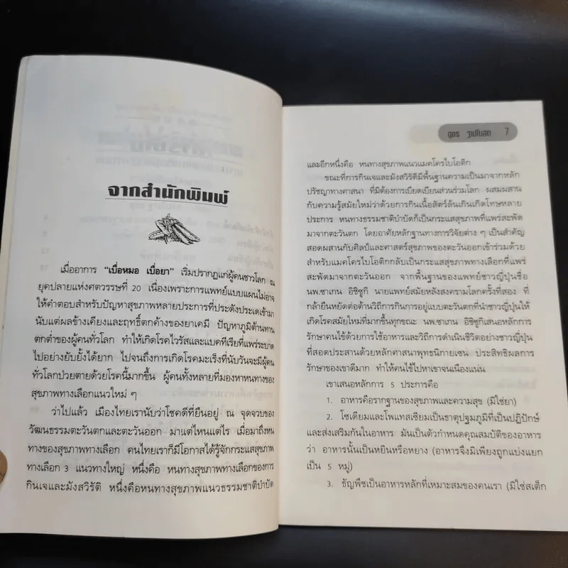 แมคโครไบโอติกสู่เสรีภาพและความงาม จากมุมมองอุดร ฐาปโนสถ รูปที่ 10