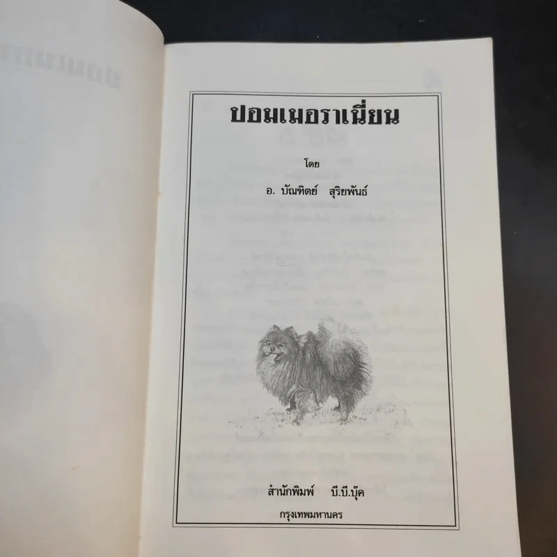 การเลี้ยงสุนัข ปอมเมอราเนี่ยน - บัณฑิตย์ สุริยพันธ์ รูปที่ 9