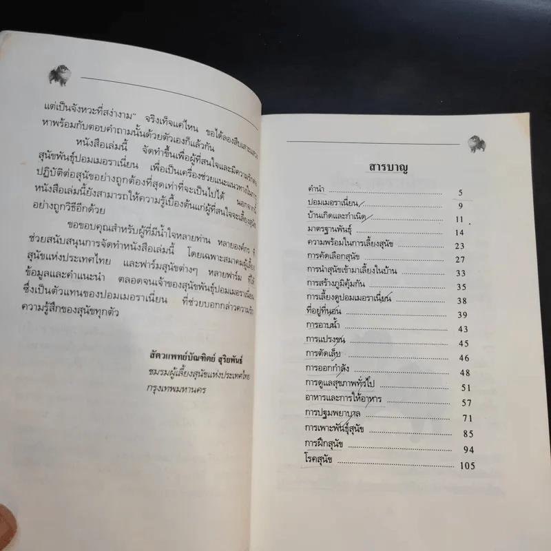 การเลี้ยงสุนัข ปอมเมอราเนี่ยน - บัณฑิตย์ สุริยพันธ์ รูปที่ 11