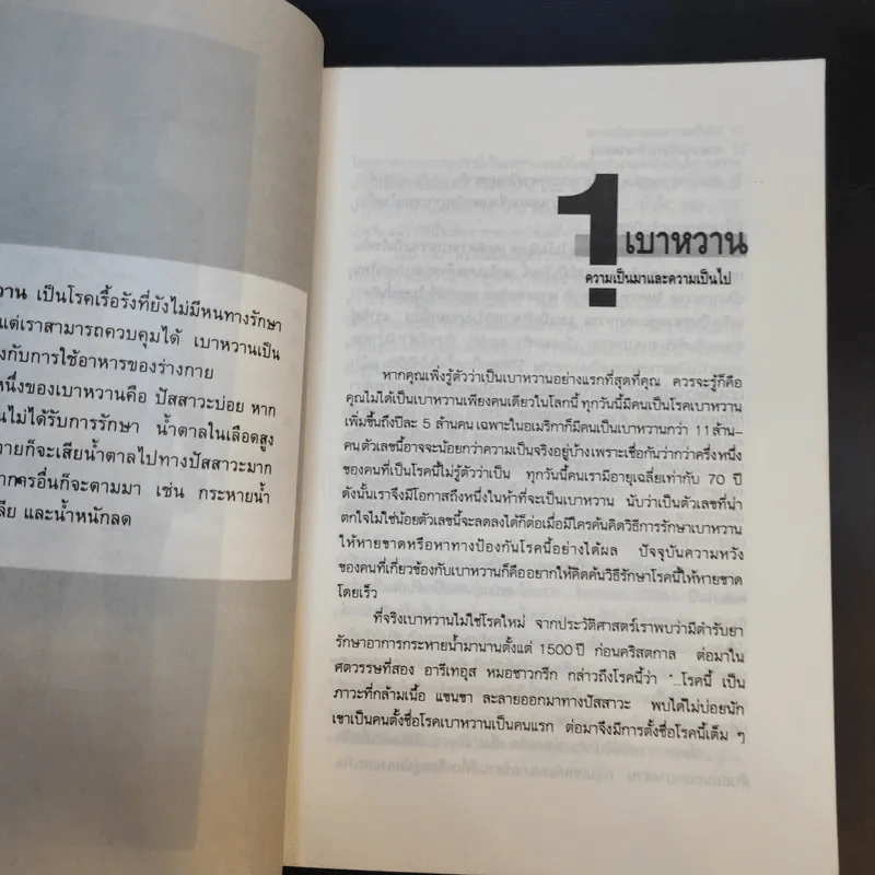 เบาหวานกับการรักษาตนเอง - นพ.ไพบูลย์ จาตุรปัญญา รูปที่ 13