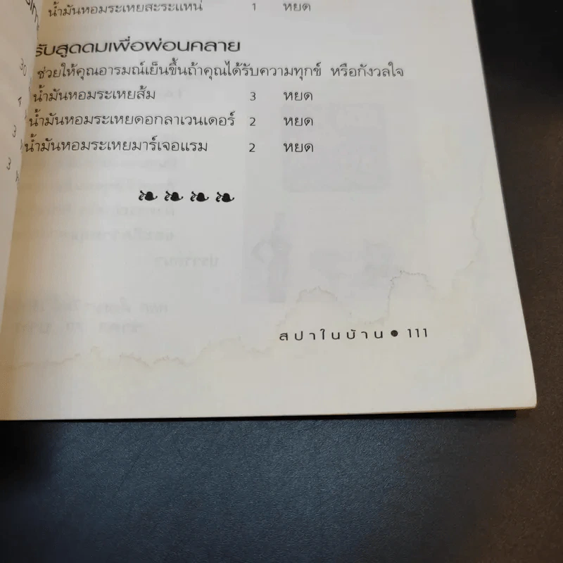 สปาในบ้าน - ปาจรีย์ นุพงษ์ รูปที่ 14