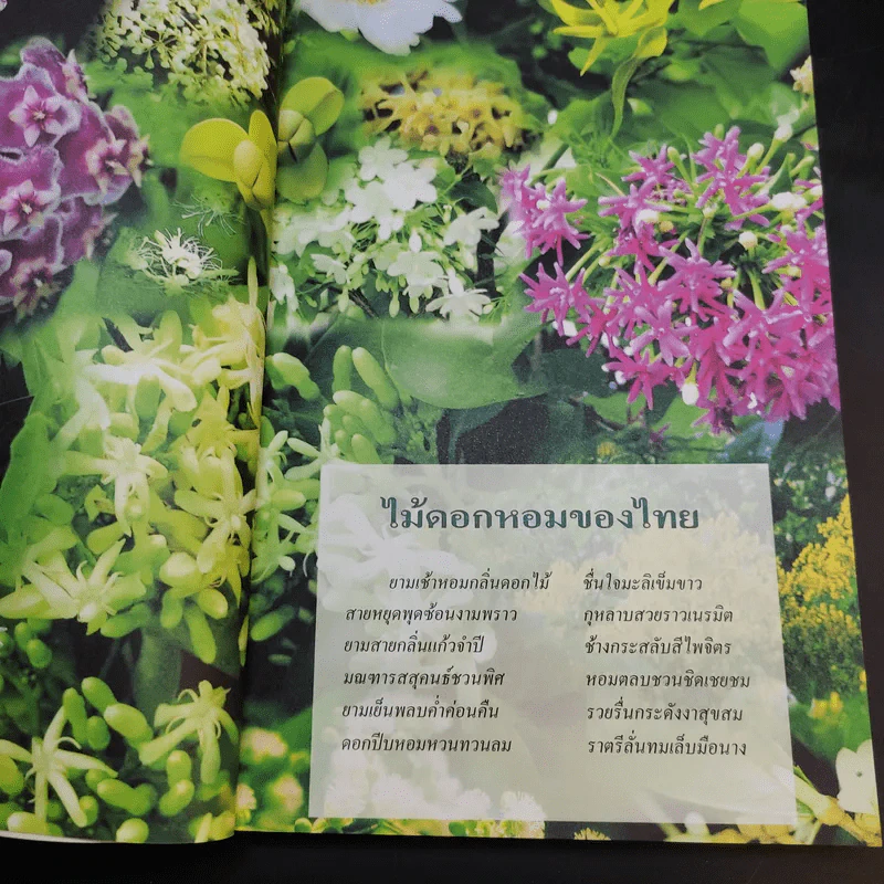 สารานุกรมไทยสำหรับเยาวชน เล่ม 1 รูปที่ 10