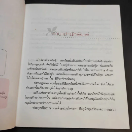 ประยุกต์โบราณ งามด้วยสมุนไพรสด - กรกนก ไกเซอริน รูปที่ 10