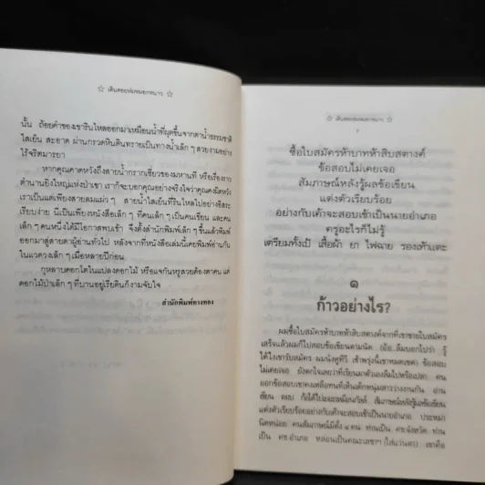 บันทึกผู้ผ่านทาง เดินถอยห่มหมอกหนาว - สวิง ศรีหมื่น รูปที่ 9