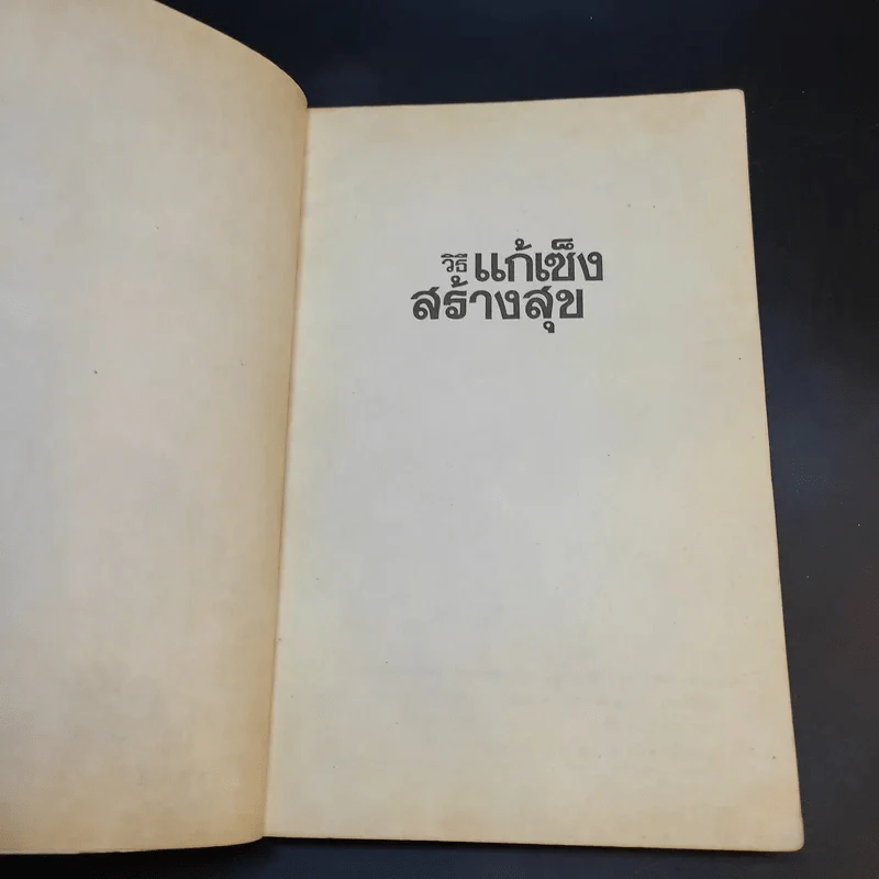 วิธีแก้เซ็งสร้างสุข - ศ.น.พ.ประเวศ วะสี รูปที่ 9