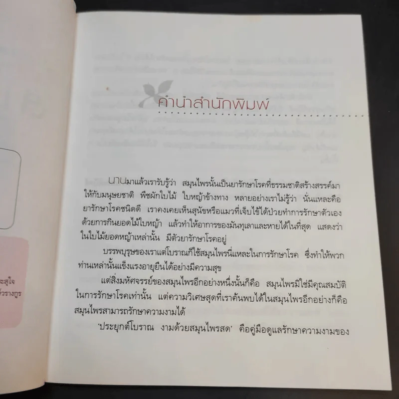 ประยุกต์โบราณ งามด้วยสมุนไพรสด - กรกนก ไกเซอริน รูปที่ 10