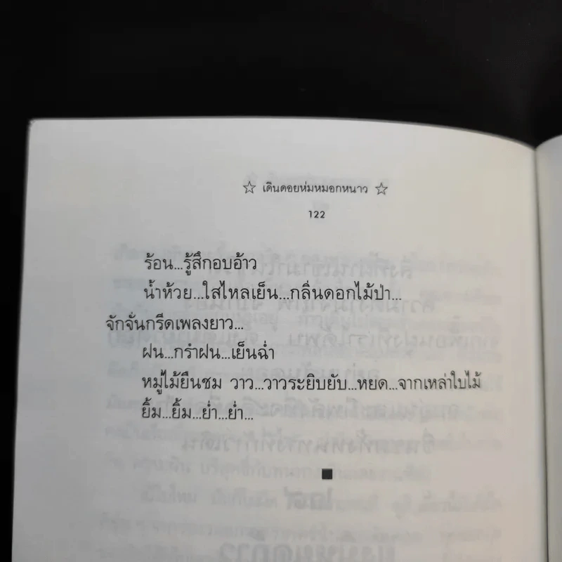 บันทึกผู้ผ่านทาง เดินถอยห่มหมอกหนาว - สวิง ศรีหมื่น รูปที่ 10
