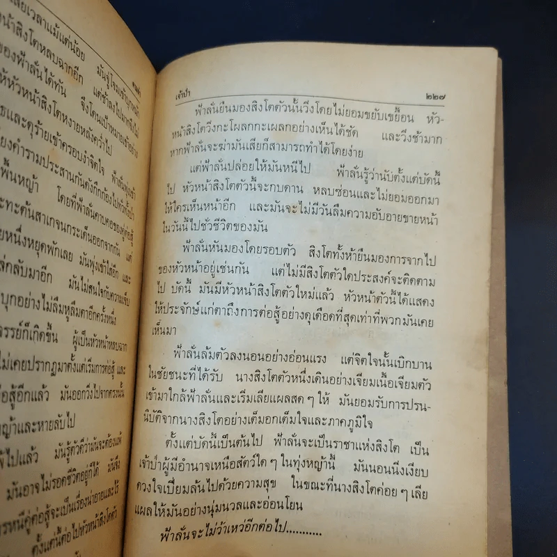 ตามล่า ชีวิตการผจญภัยของสิงห์หนุ่ม รูปที่ 12