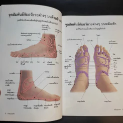 การนวดเท้าเพื่อสุขภาพและรักษาโรค รูปที่ 11