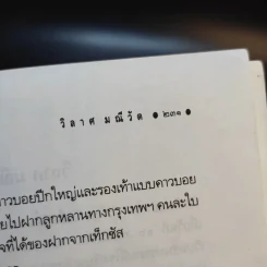 ช่วยหยุดกรุงเทพฯ หน่อยเถอะ...ผมจะลง - วิลาศ มณีวัต รูปที่ 13