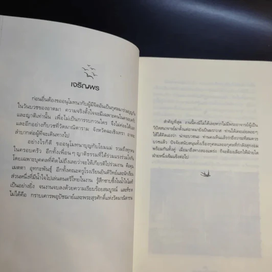ดูจิตหนึ่งพรรษา - ประเสริฐ อุทัยเฉลิม รูปที่ 12