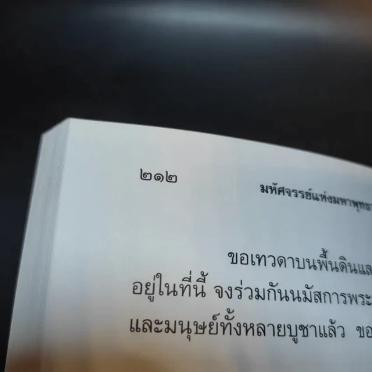 มหัศจรรย์แห่งมหาพุทธานุภาพ ตอน ปราบมารและโปรดธรรม - ศาสตราจารย์เกียรติคุณ จำรูญ ผาสมุทร รูปที่ 14