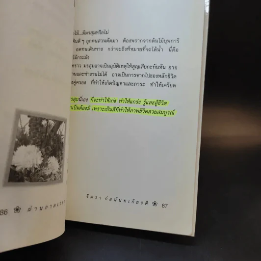 ผ่านกาลเวลา - จิตรา ก่อนันทเกียรติ รูปที่ 15