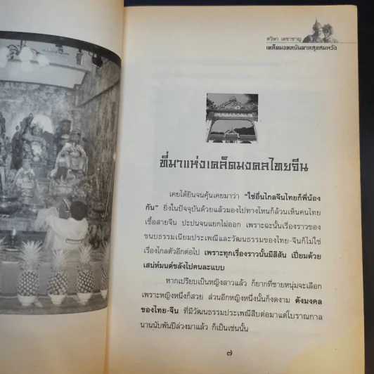 เคล็ดมงคลบันดาลสุขสมหวัง - ตวิษาเดชาชาญ รูปที่ 11